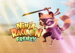 Ninja Raccoon Frenzy